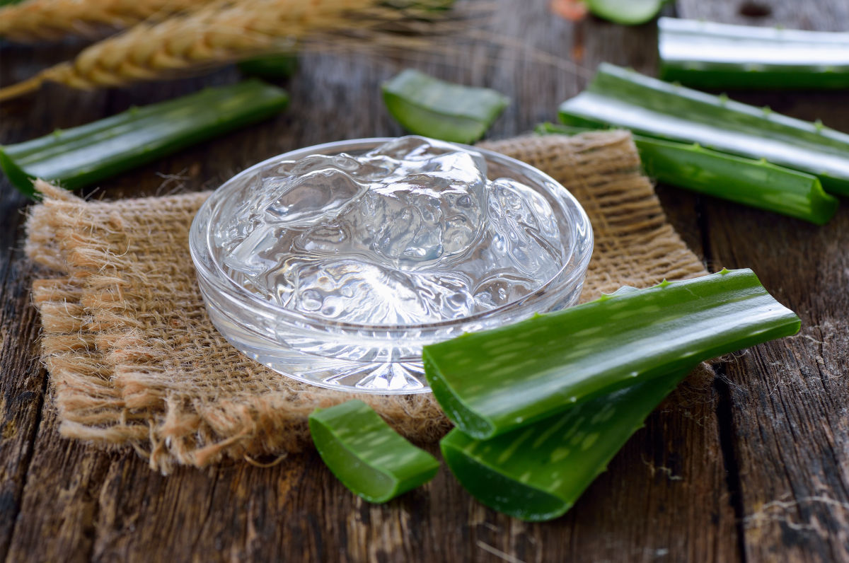 Beneficios del aloe vera: propiedades de esta planta para el cuidado de la piel